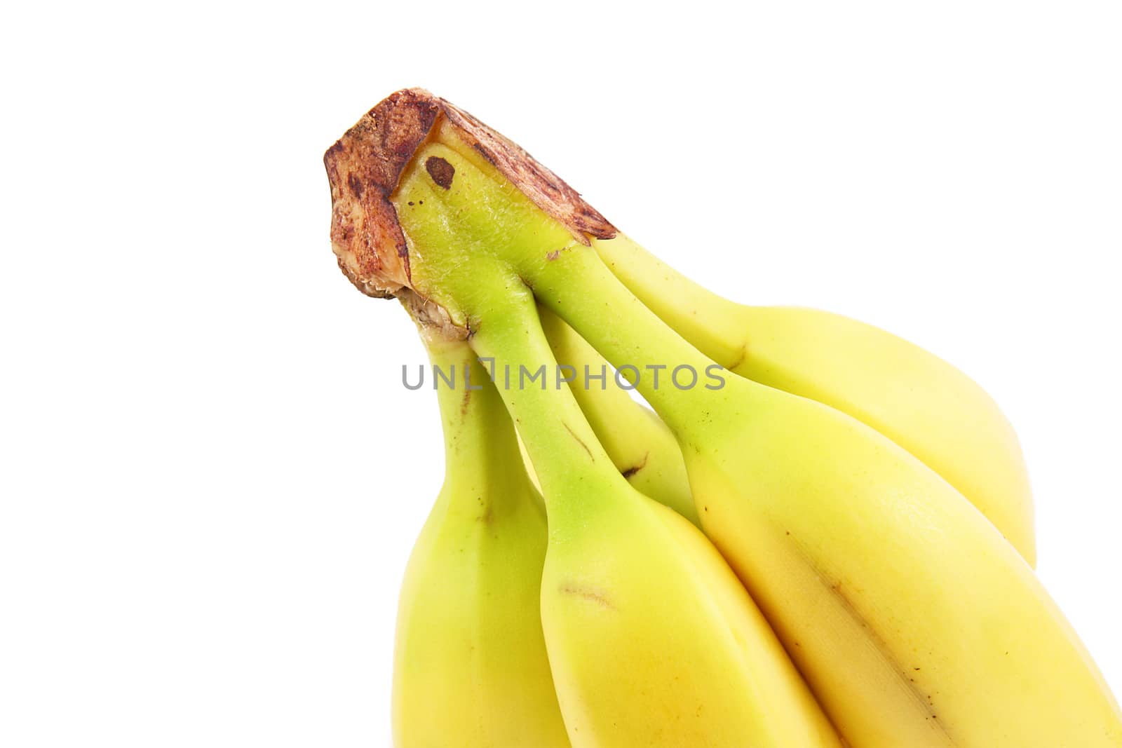 fresh bananas on white background