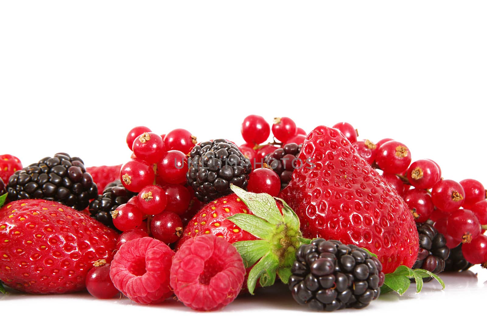 fresh fruit berries on white background