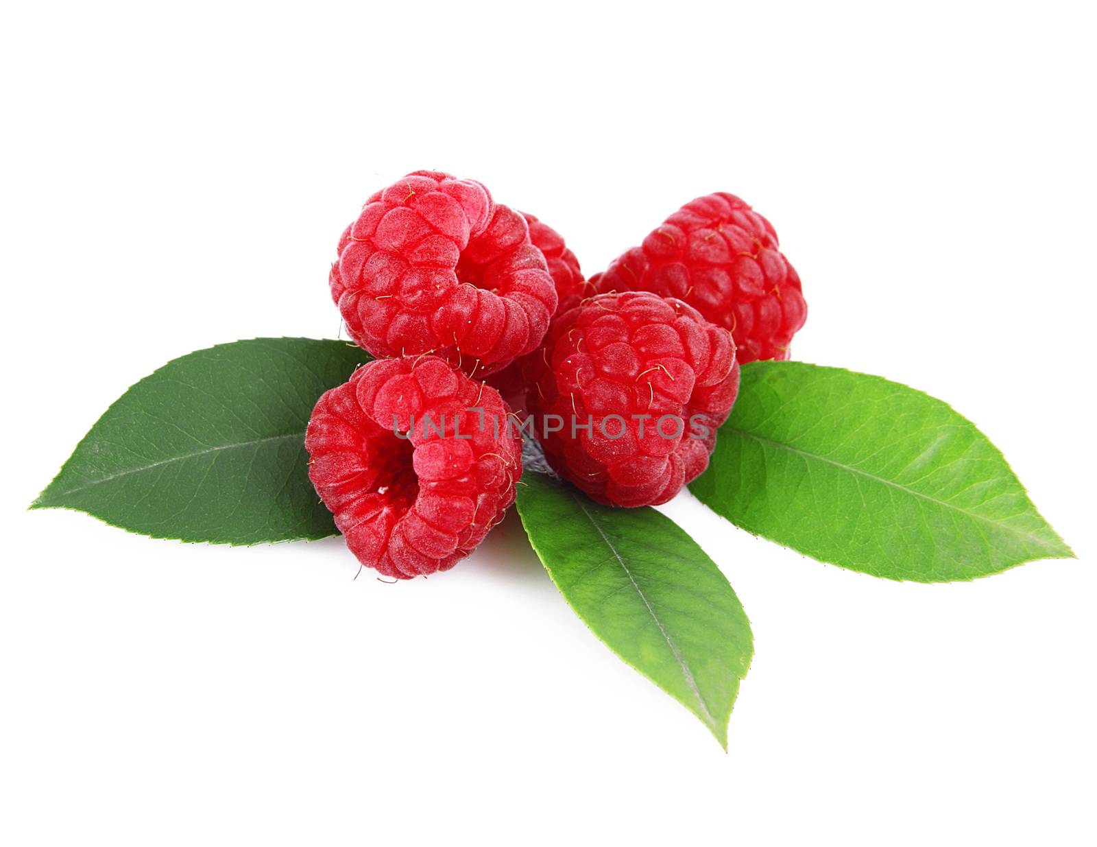 fresh raspberries on white background