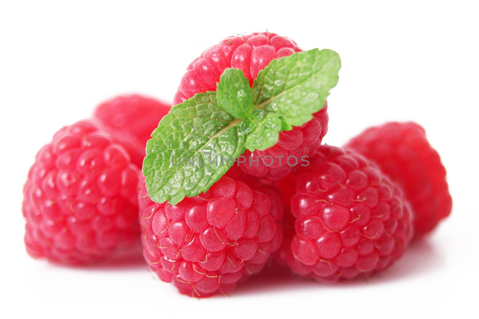 fresh raspberries on white background