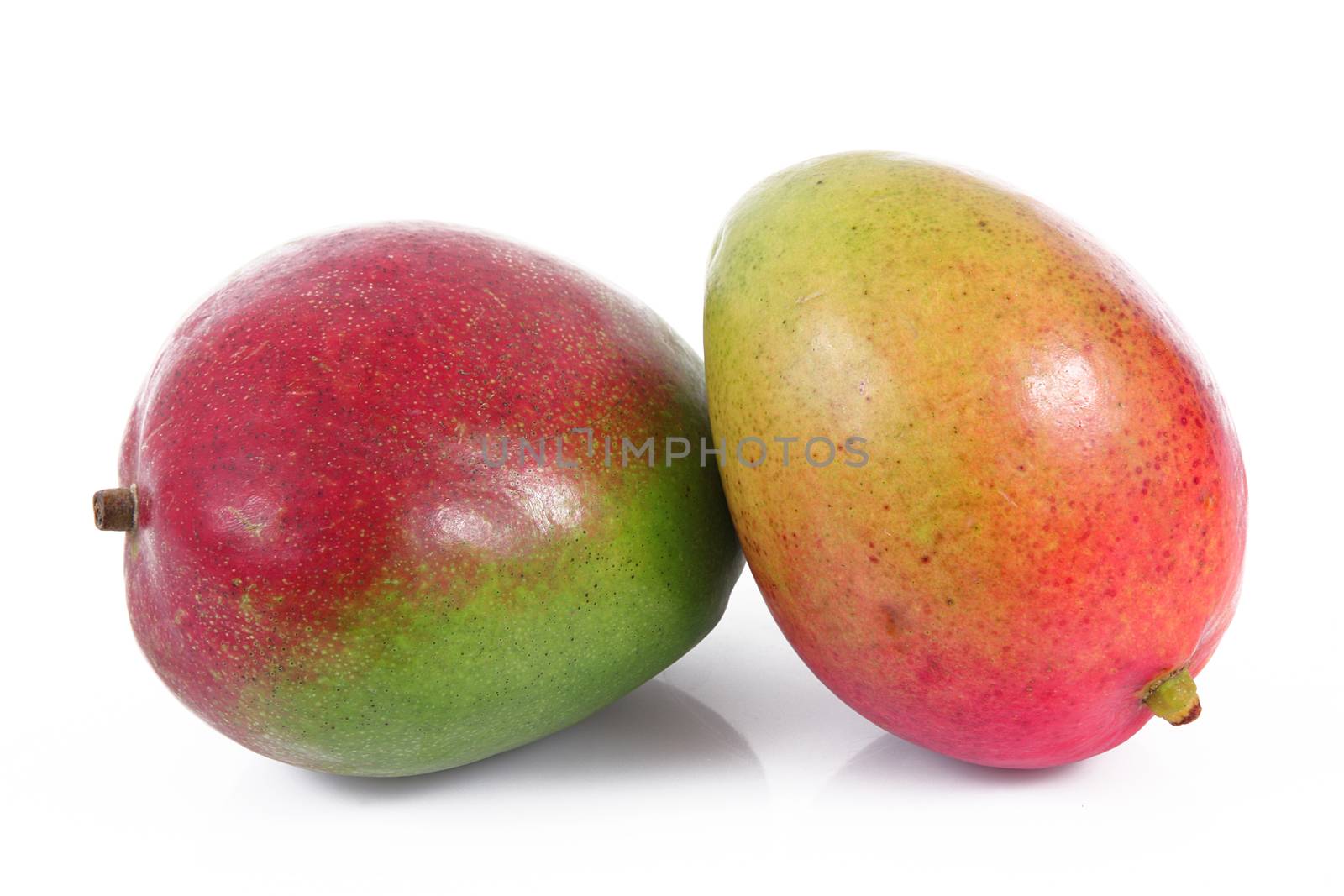 fresh mango on white background
