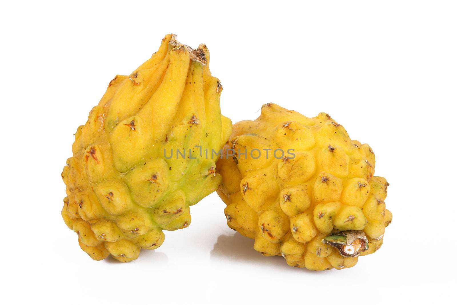 fresh yellow pitaya on white background