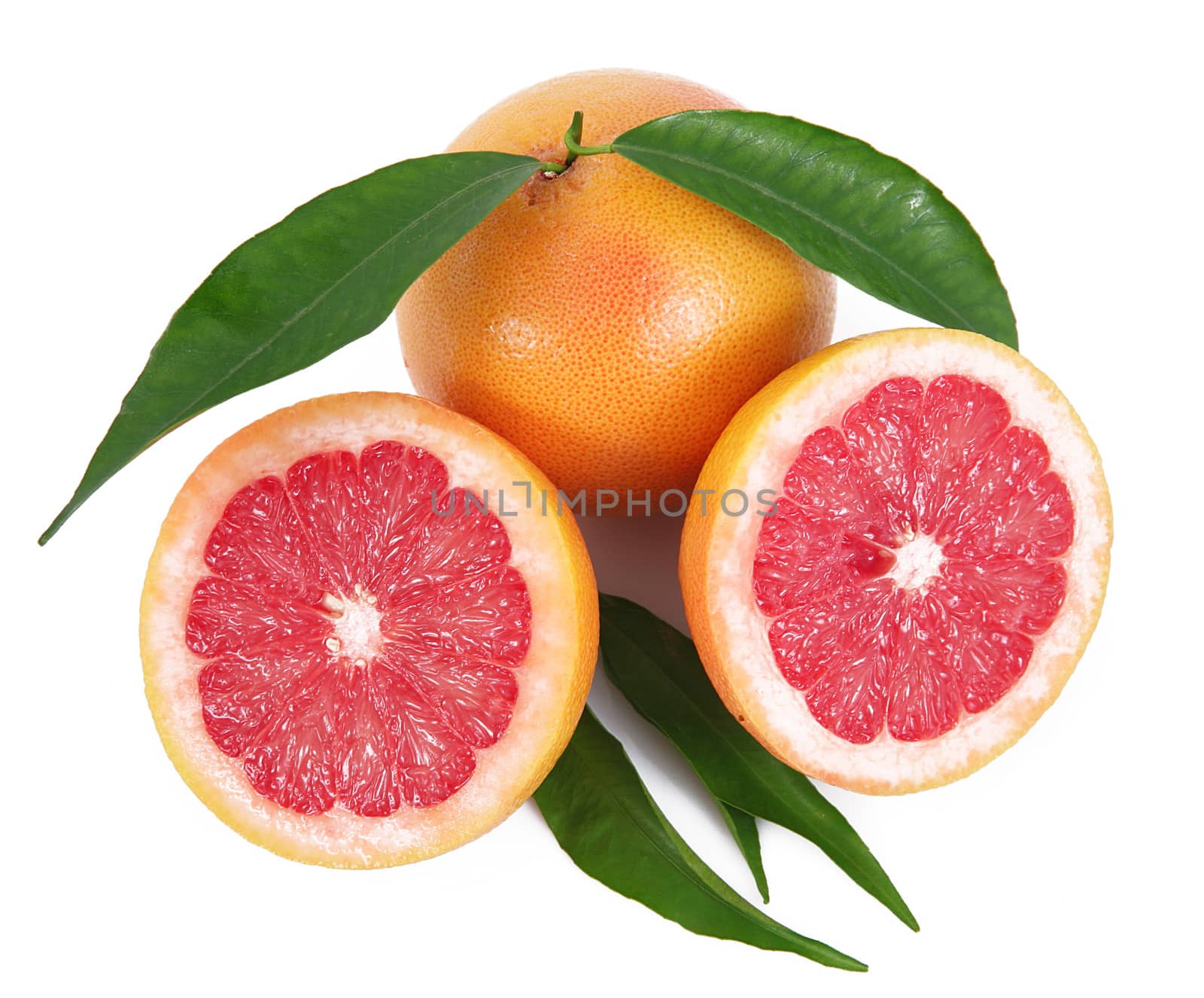 fresh grapefruit on white background