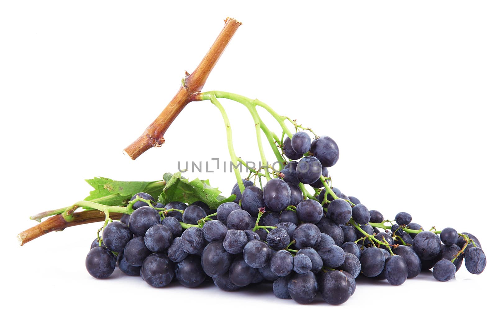 Bunch of grapes on white background