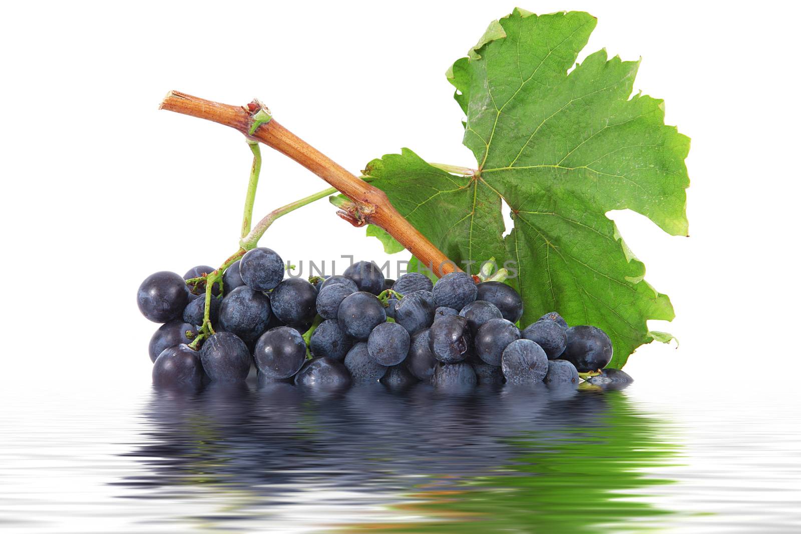 Bunch of grapes on white background