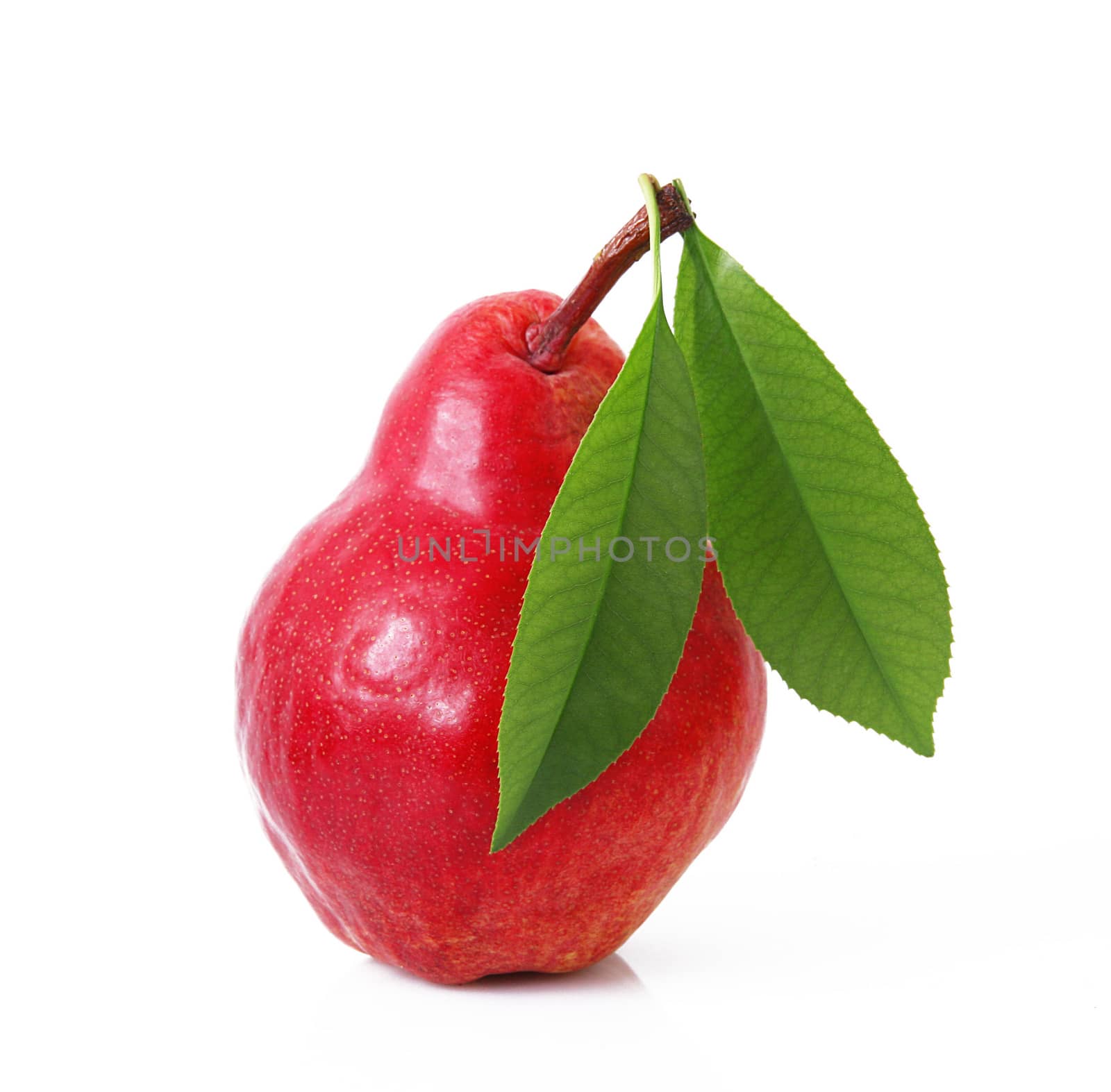 fresh red pear on white background