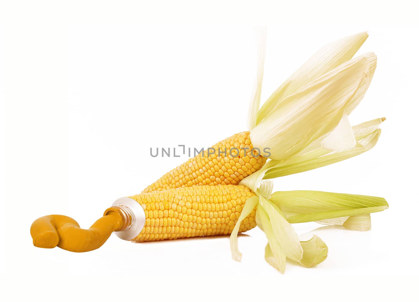 corn like a tube of paint on white background