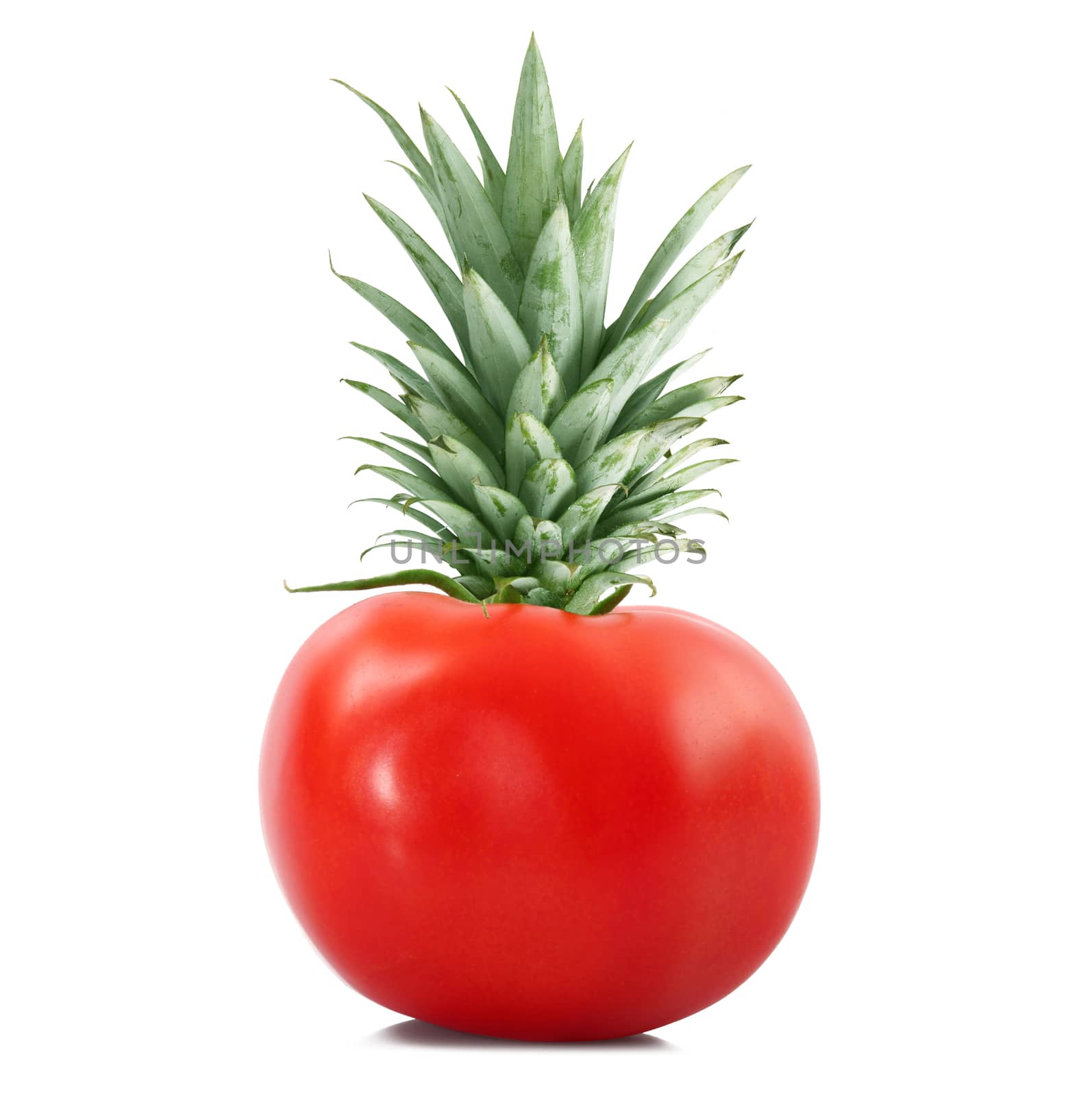 strange ibrid vegetable fruit pineapple-tomato