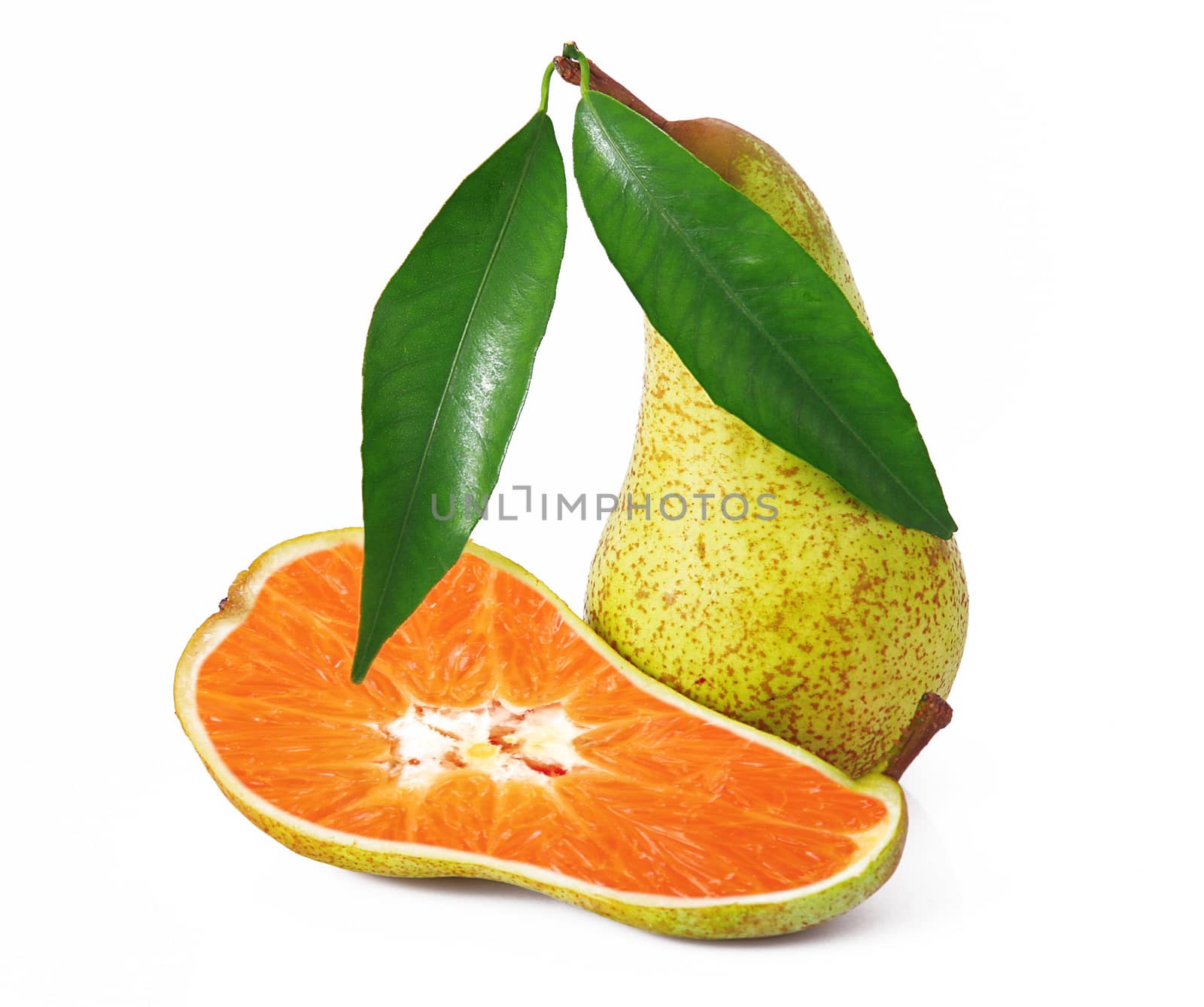 strange ibrid fruit pear-orange