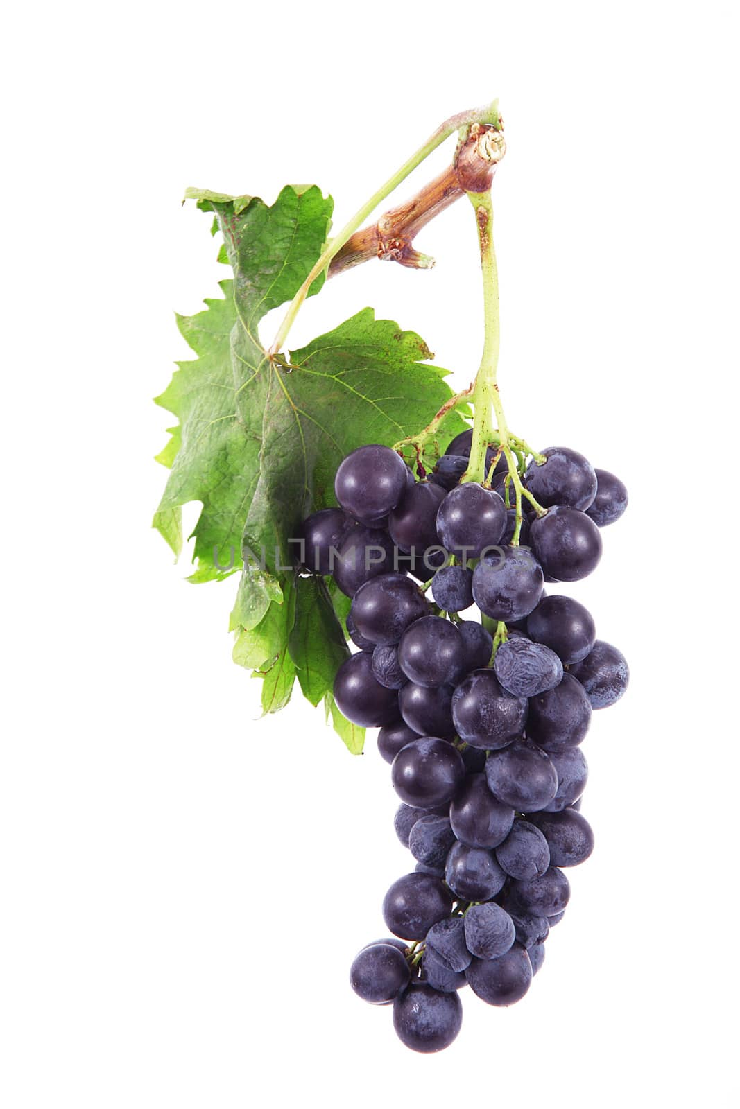 Bunch of grapes on white background