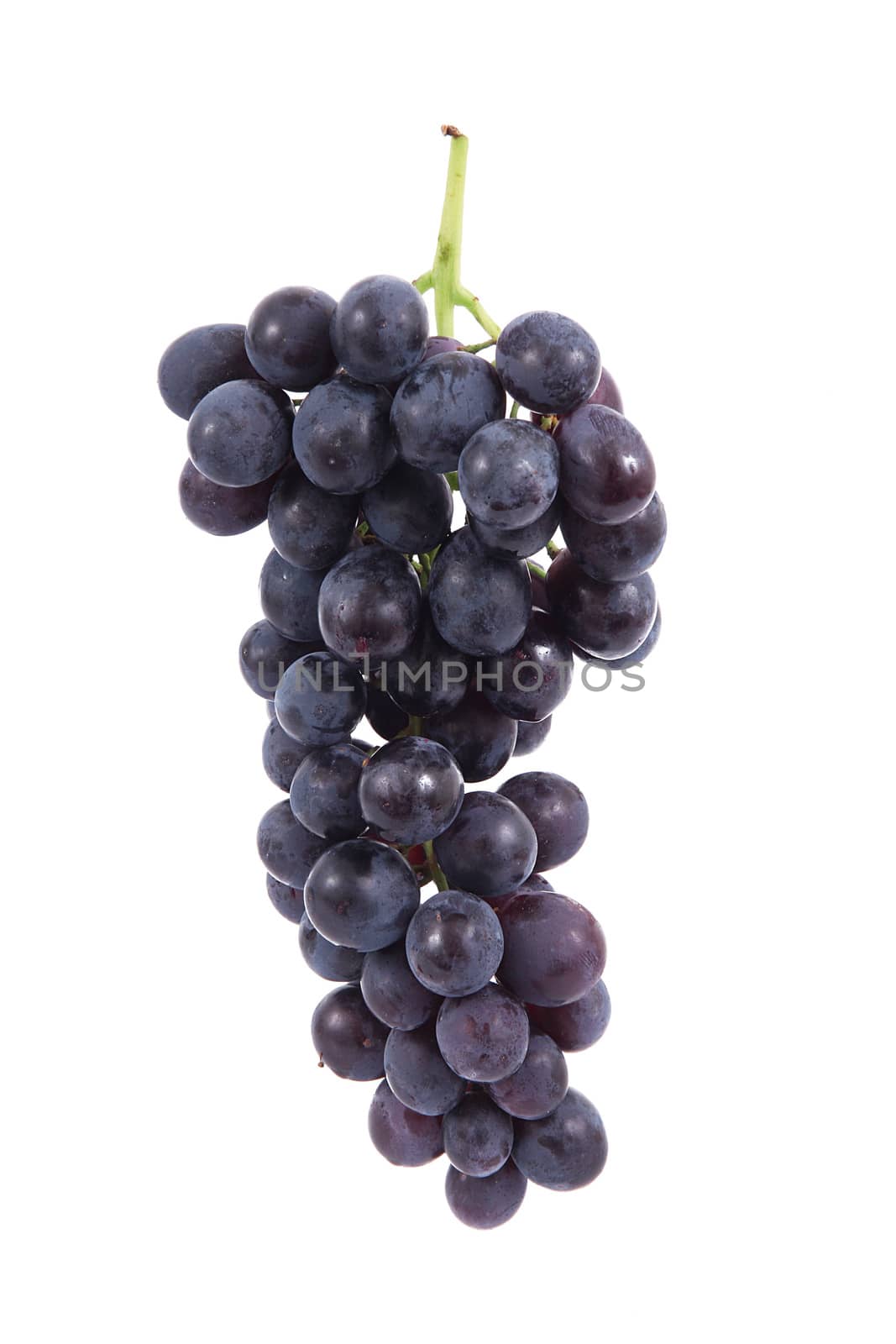 Bunch of grapes on white background