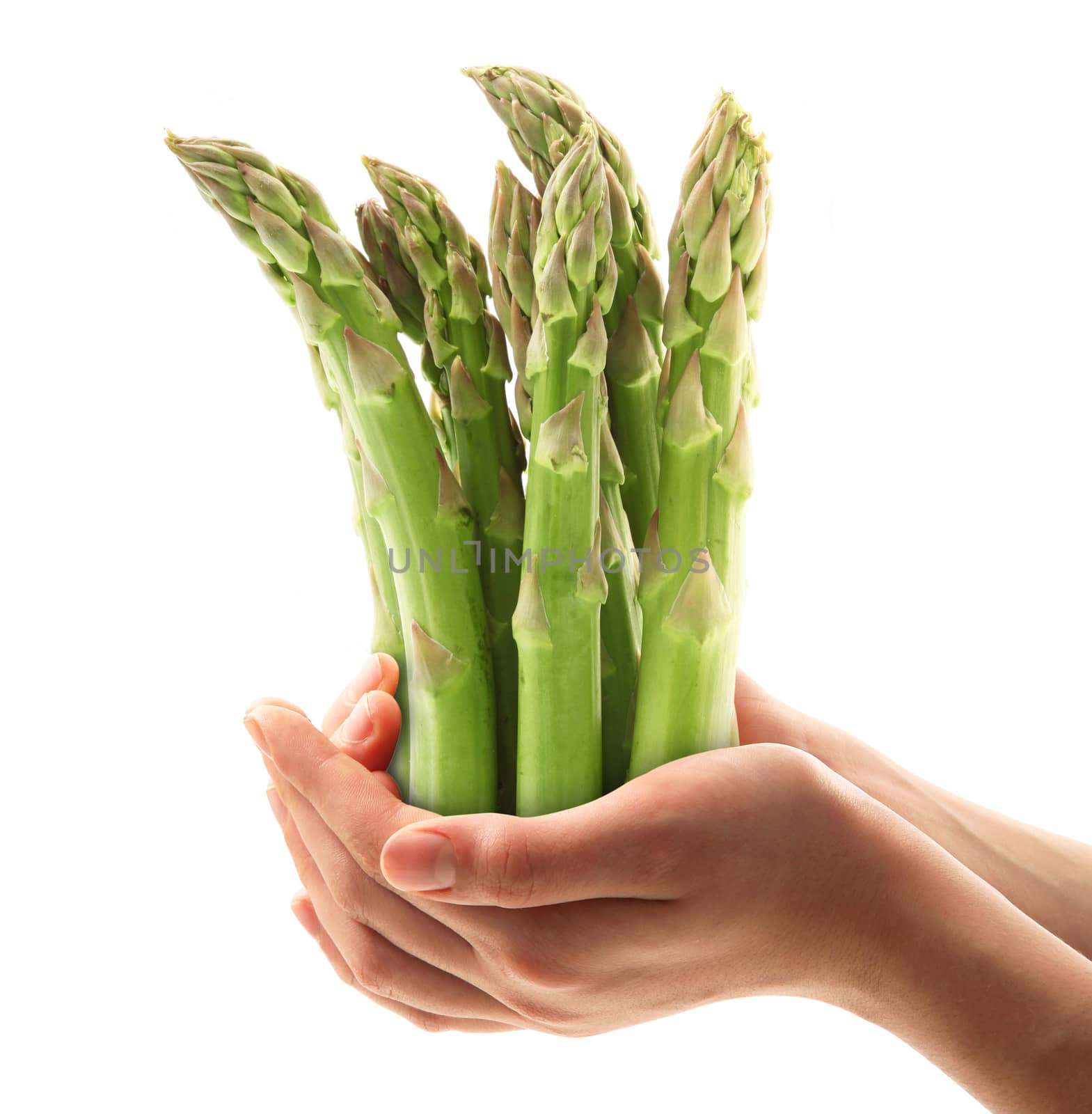 asparagus in the hands on white background