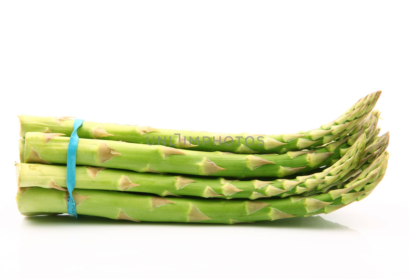 fresh asparagus on white background