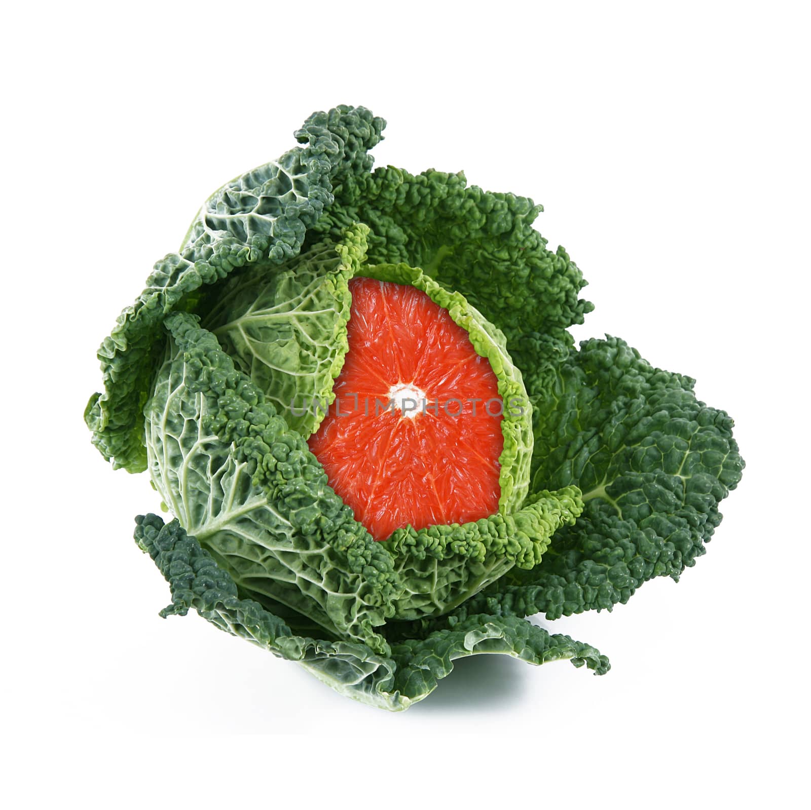 strange ibrid vegetable fruit cabbage-grapefruit