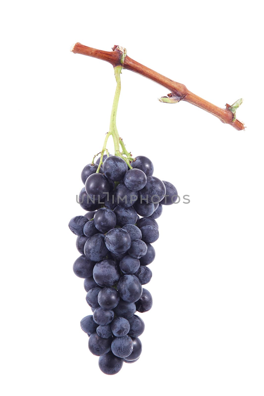 Bunch of grapes on white background