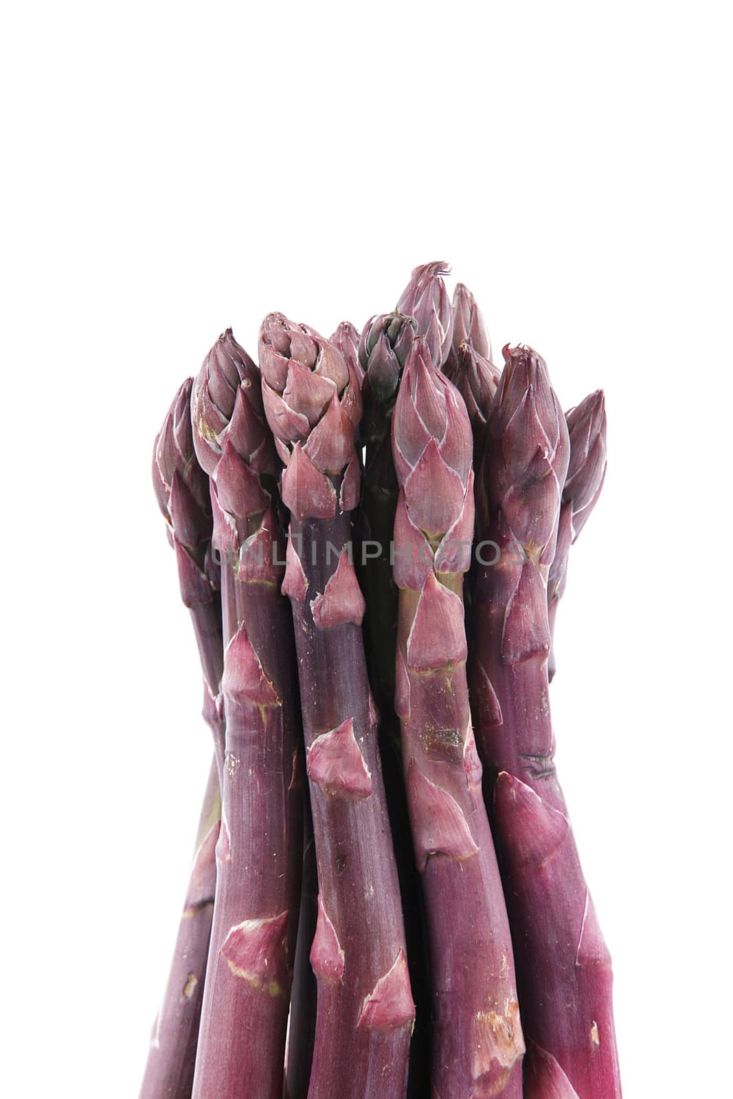 fresh red asparagus on white background