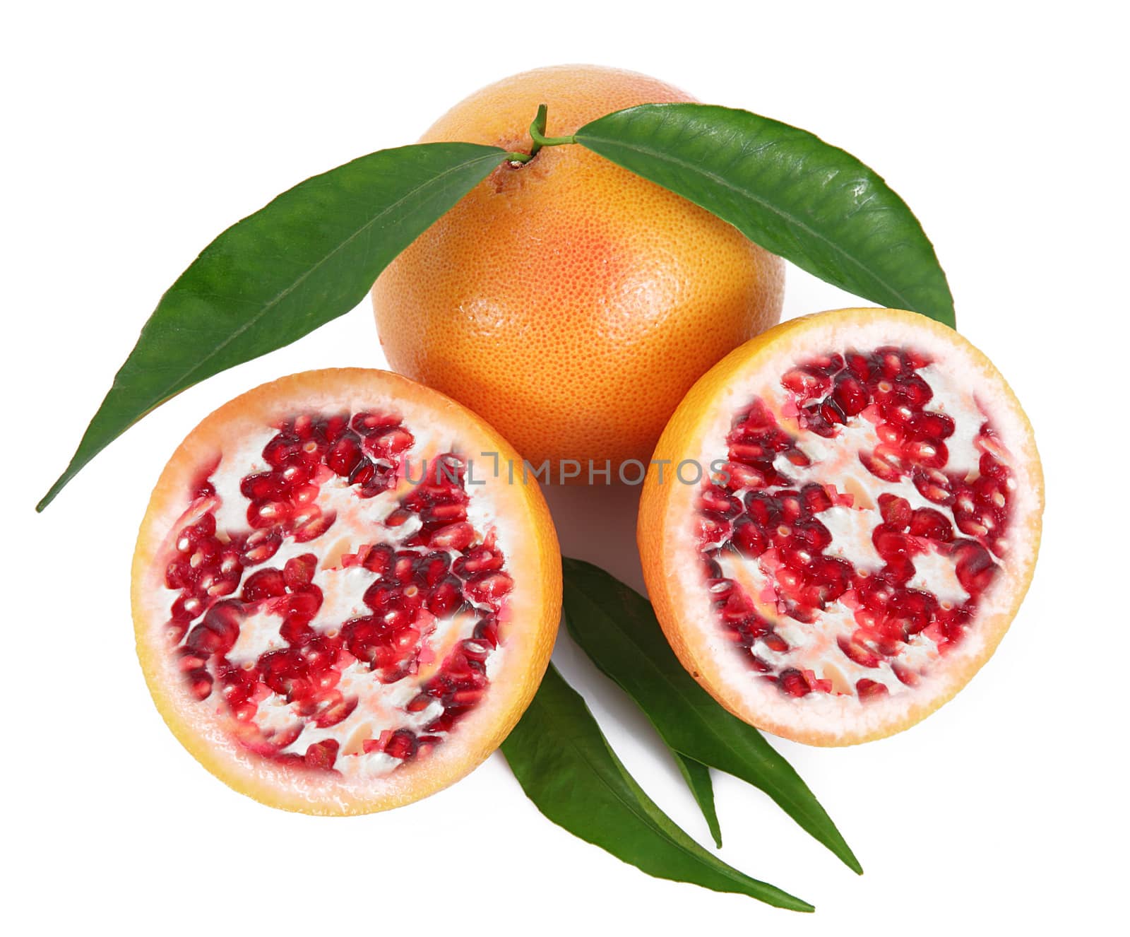 strange ibrid fruit pomegranate-grapefruit