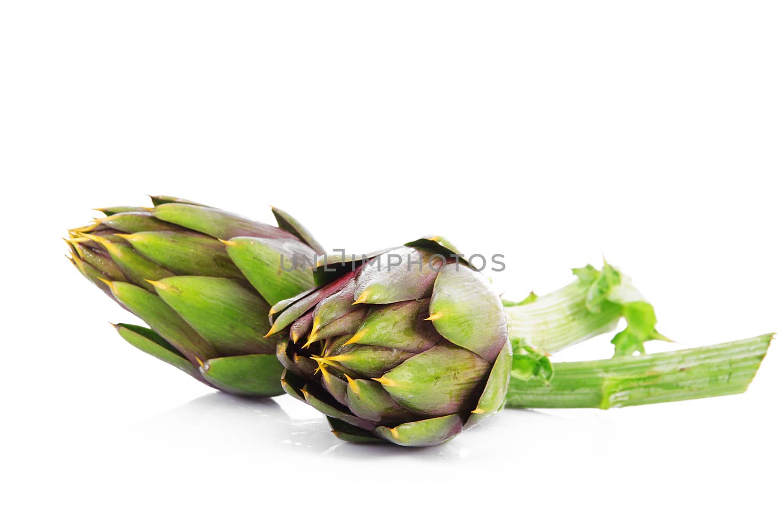 fresh artichokes on white background