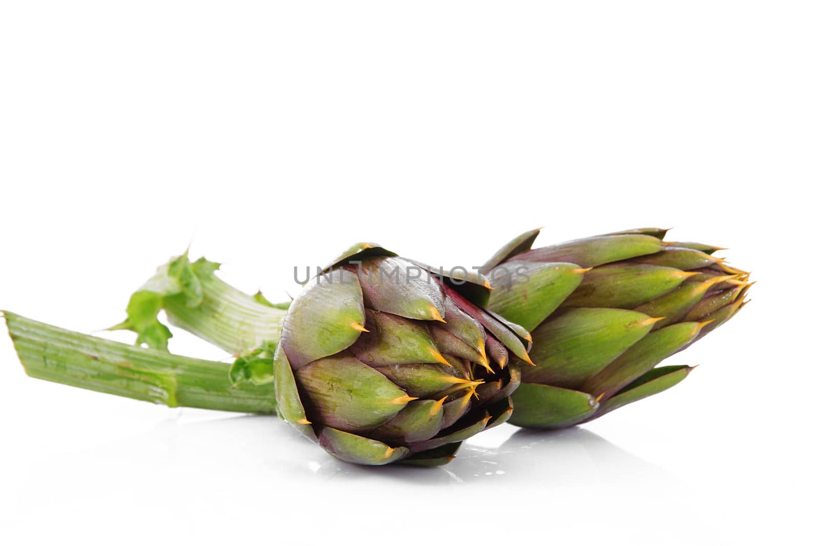 fresh artichokes on white background