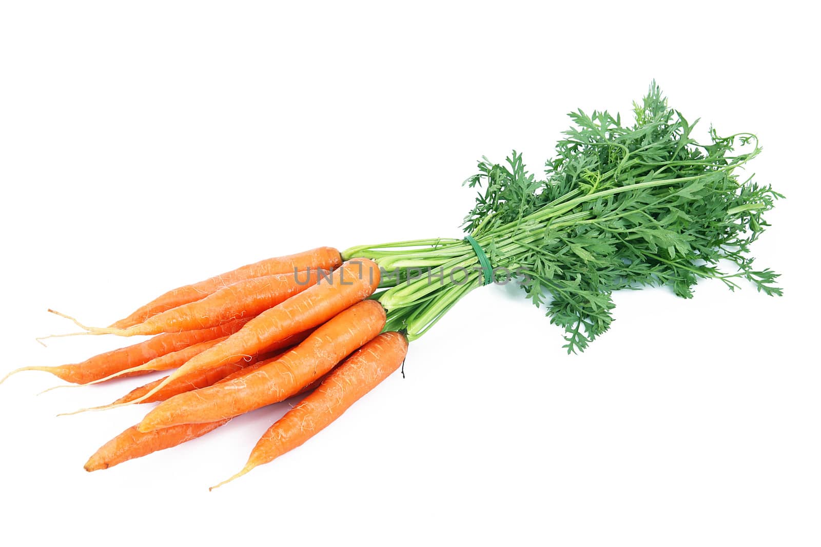 fresh carrots on white background
