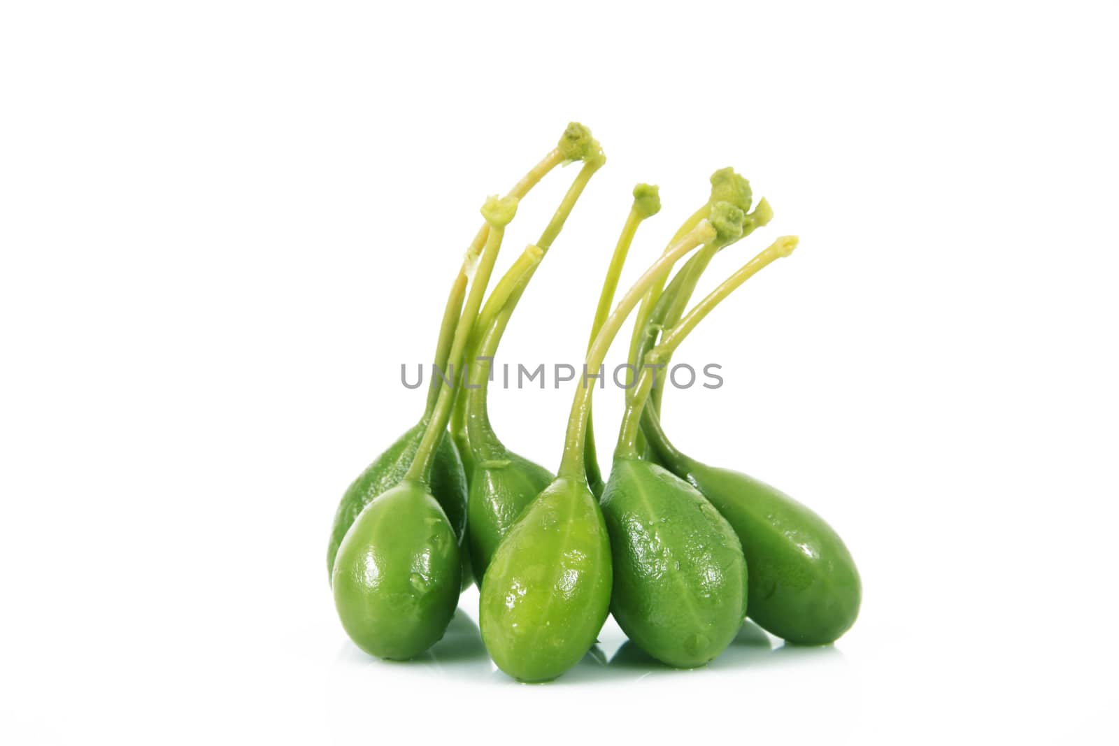 many capers on white background