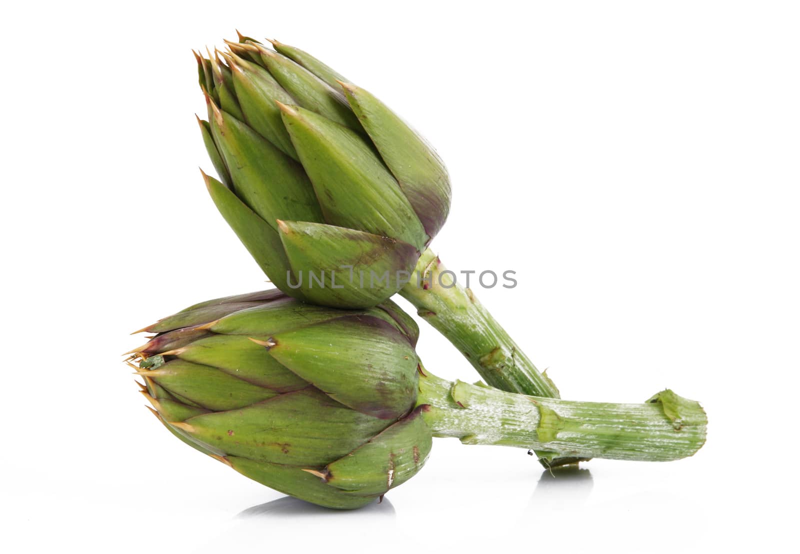fresh artichokes on white background
