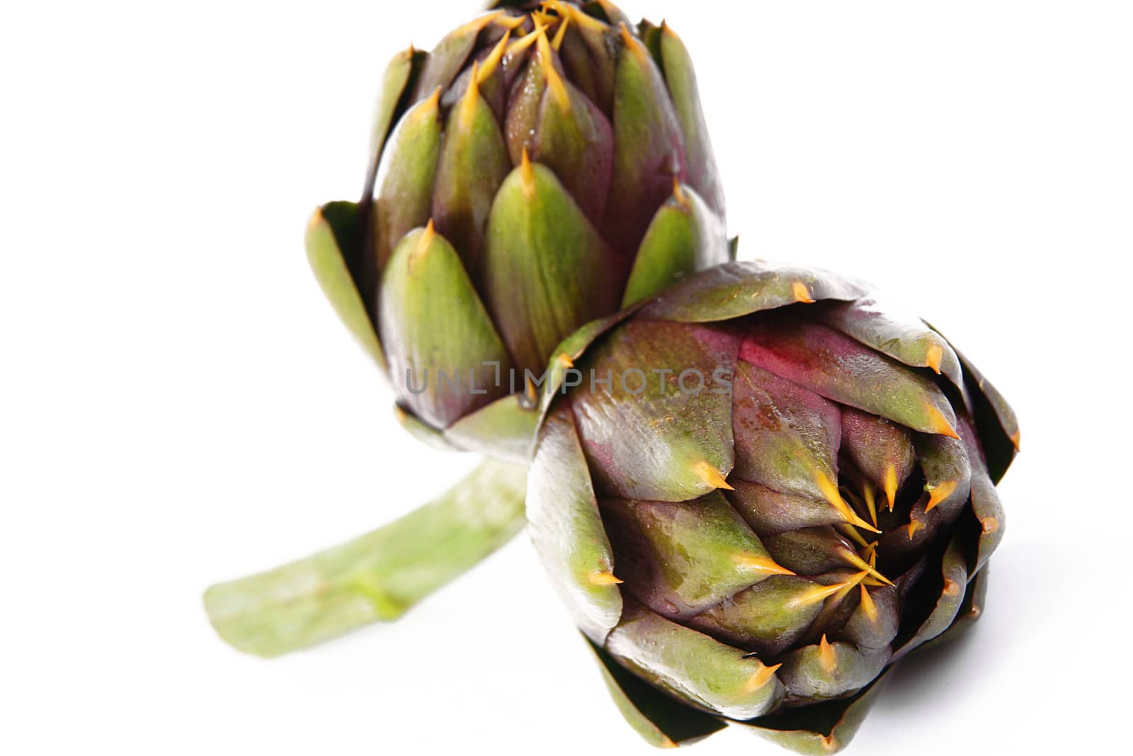 fresh artichokes on white background