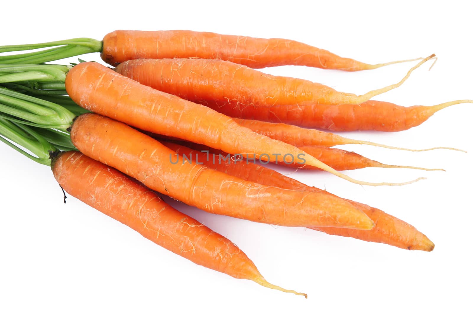 fresh carrots on white background