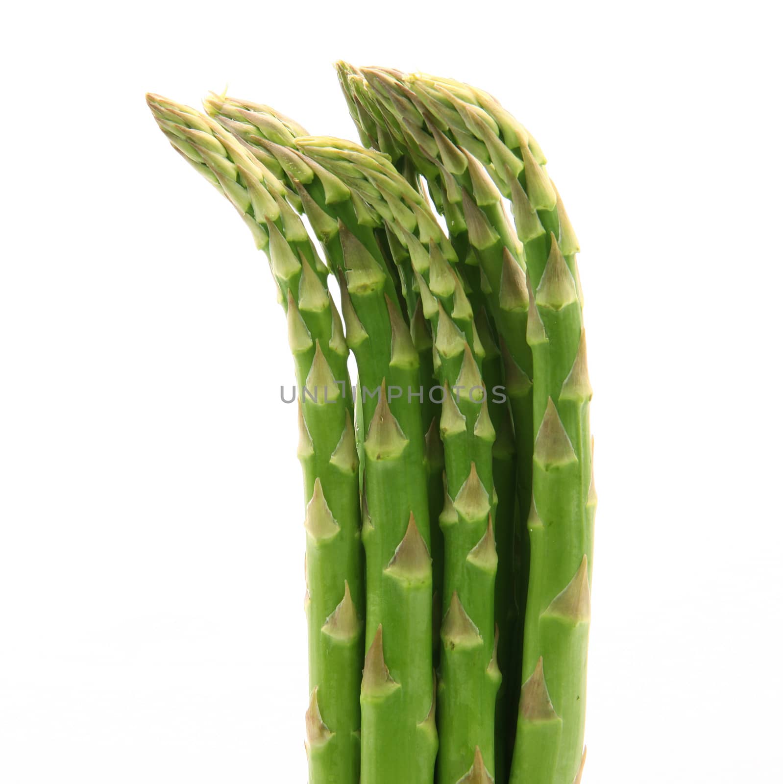 fresh asparagus on white background
