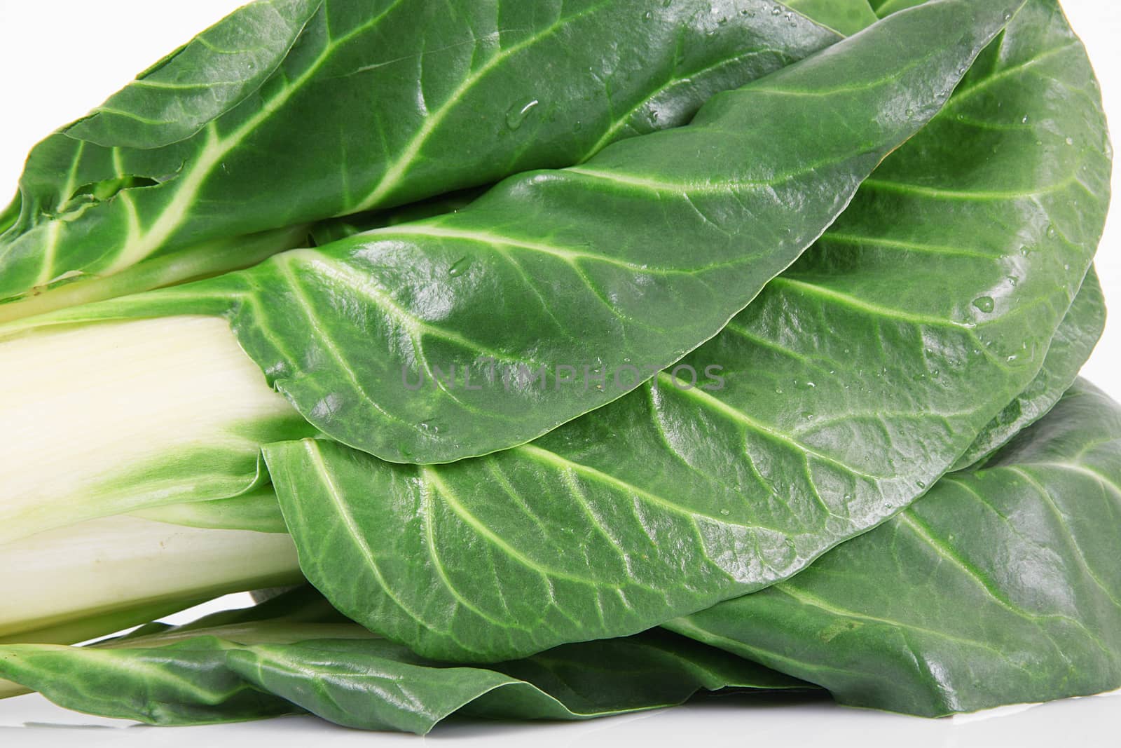 fresh vegetable ribs on white background