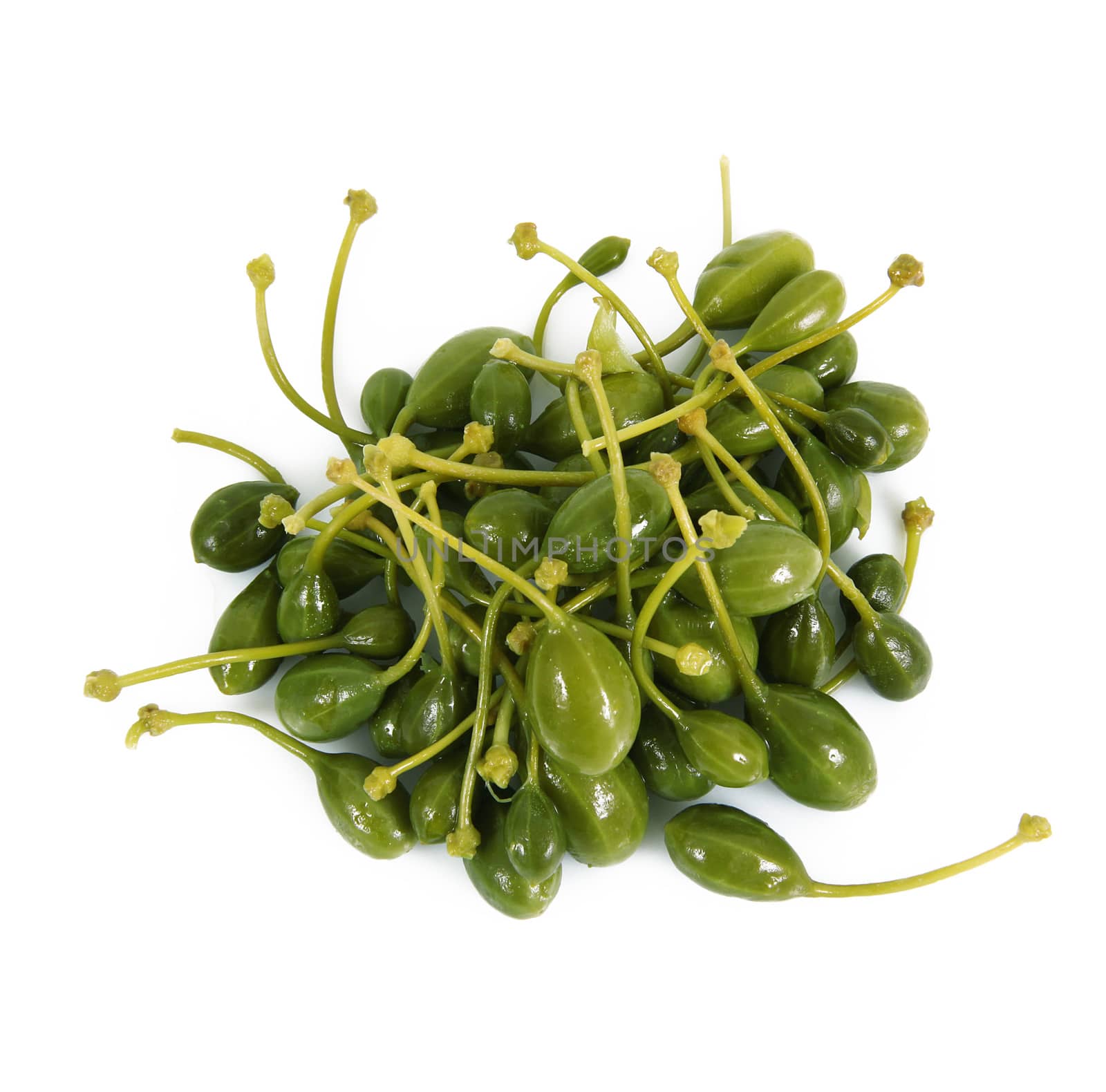 fresh capers on white background