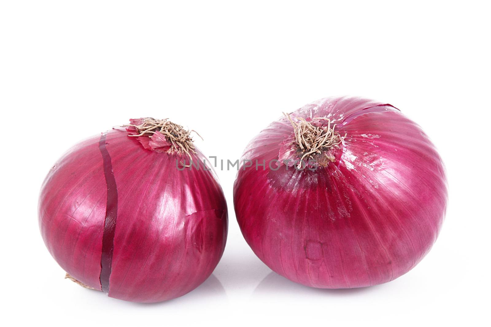 fresh red onions on white background