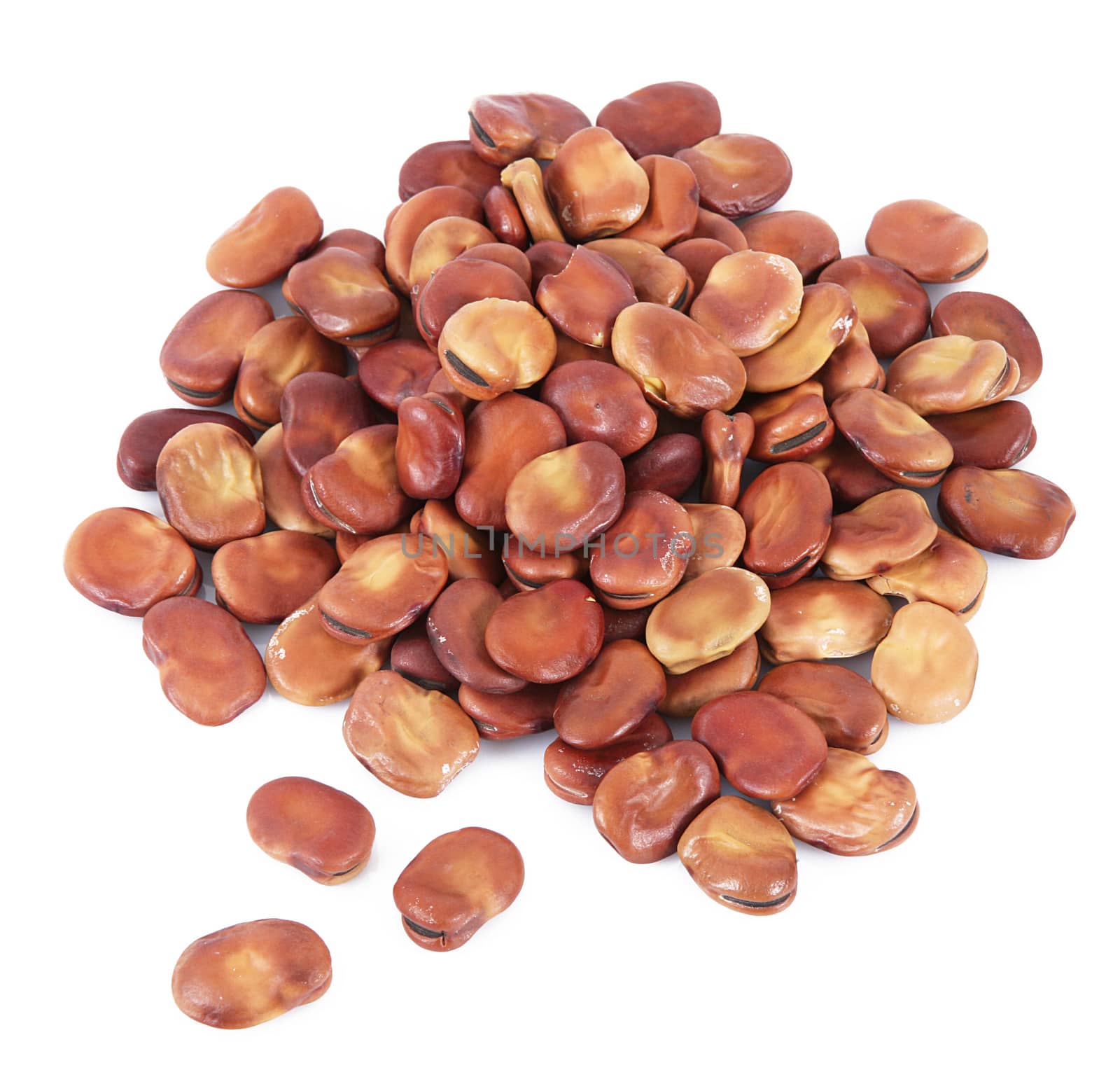 dry fava beans on white background