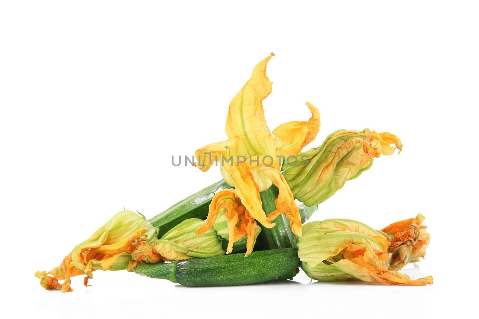 fresh pumpkin flowers on white background