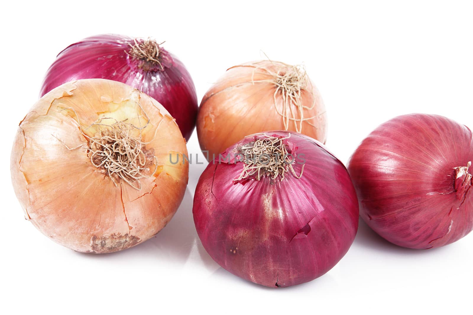 fresh onions on white background