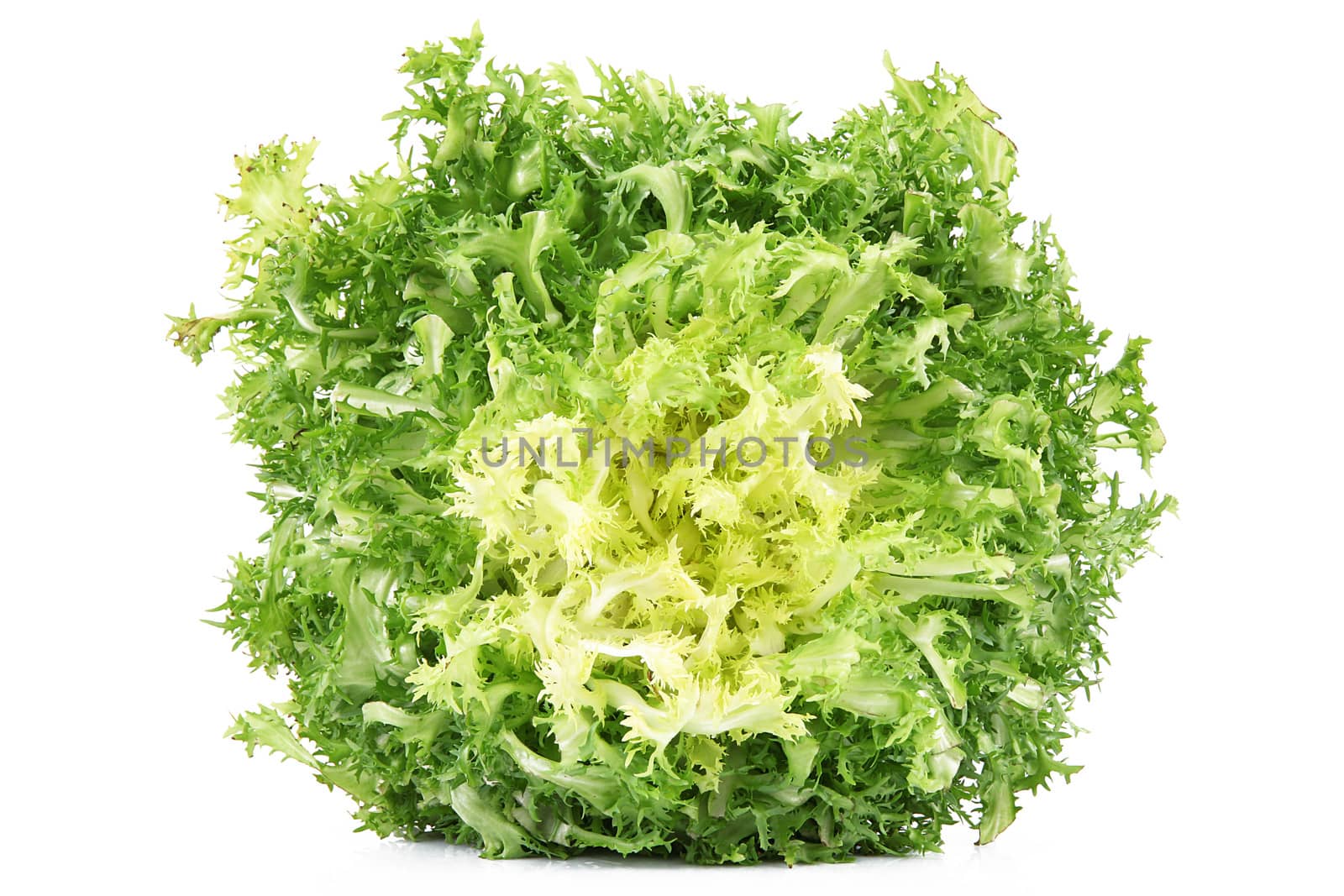 fresh salad on white background
