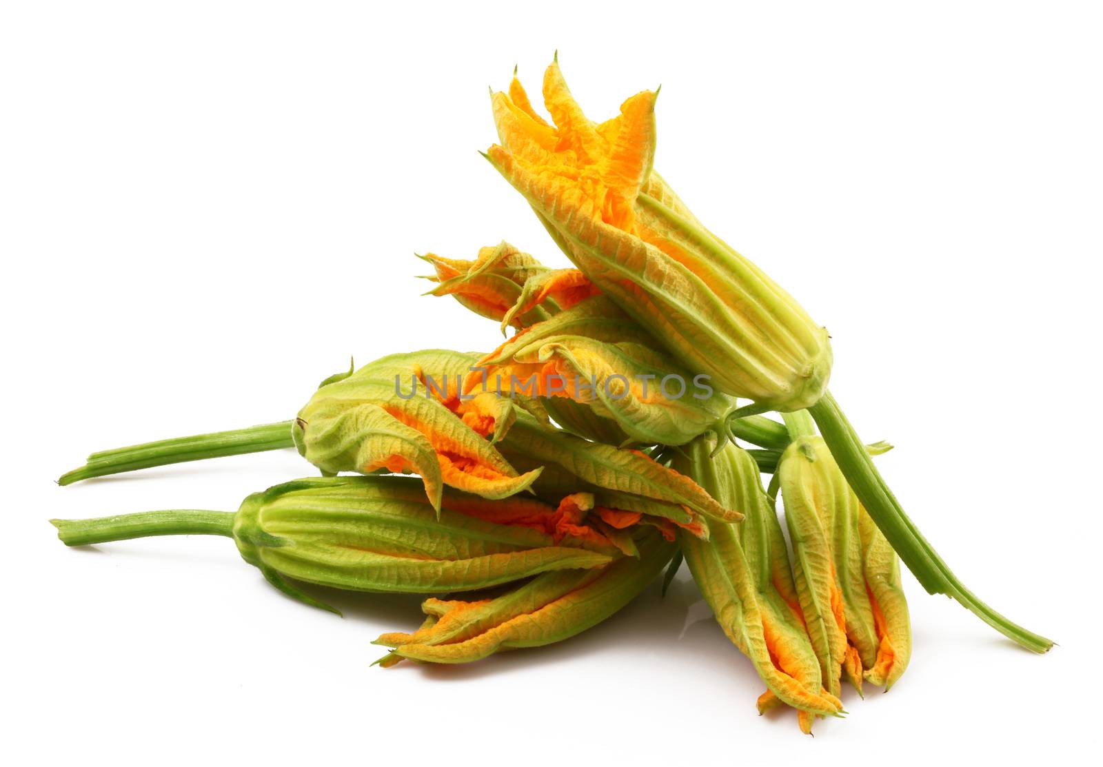 fresh pumpkin flowers on white background