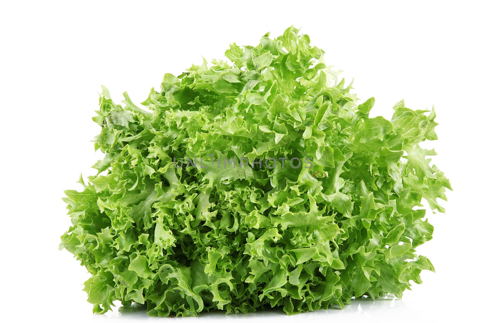 fresh salad on white background