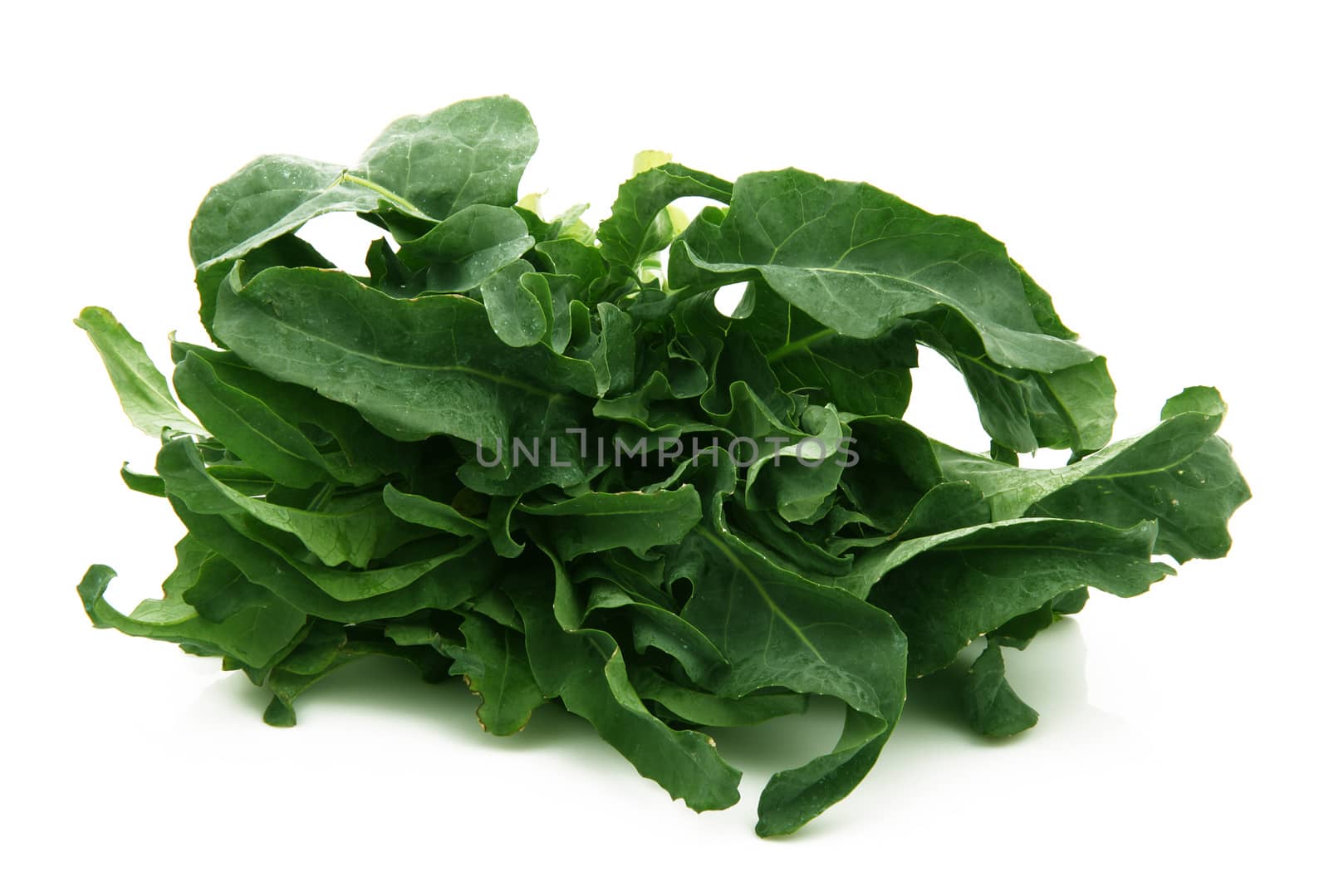 fresh salad on white background