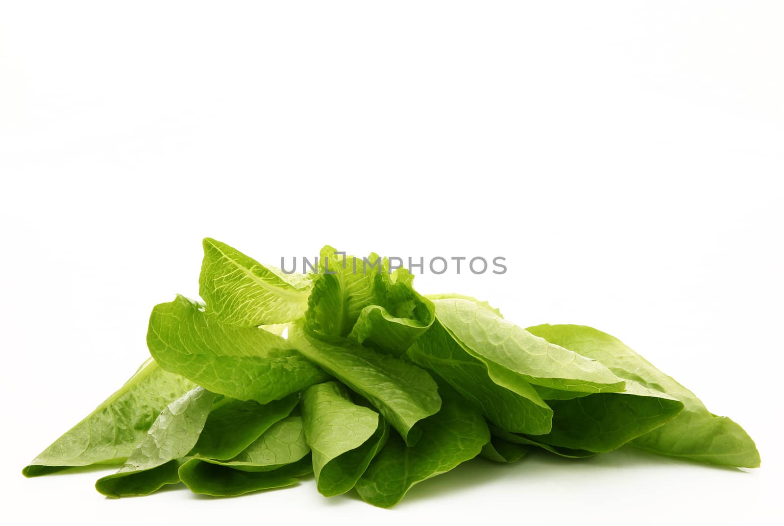 fresh salad on white background