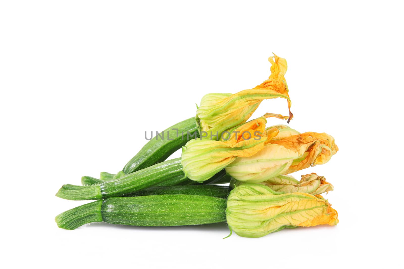 fresh pumpkin flowers on white background