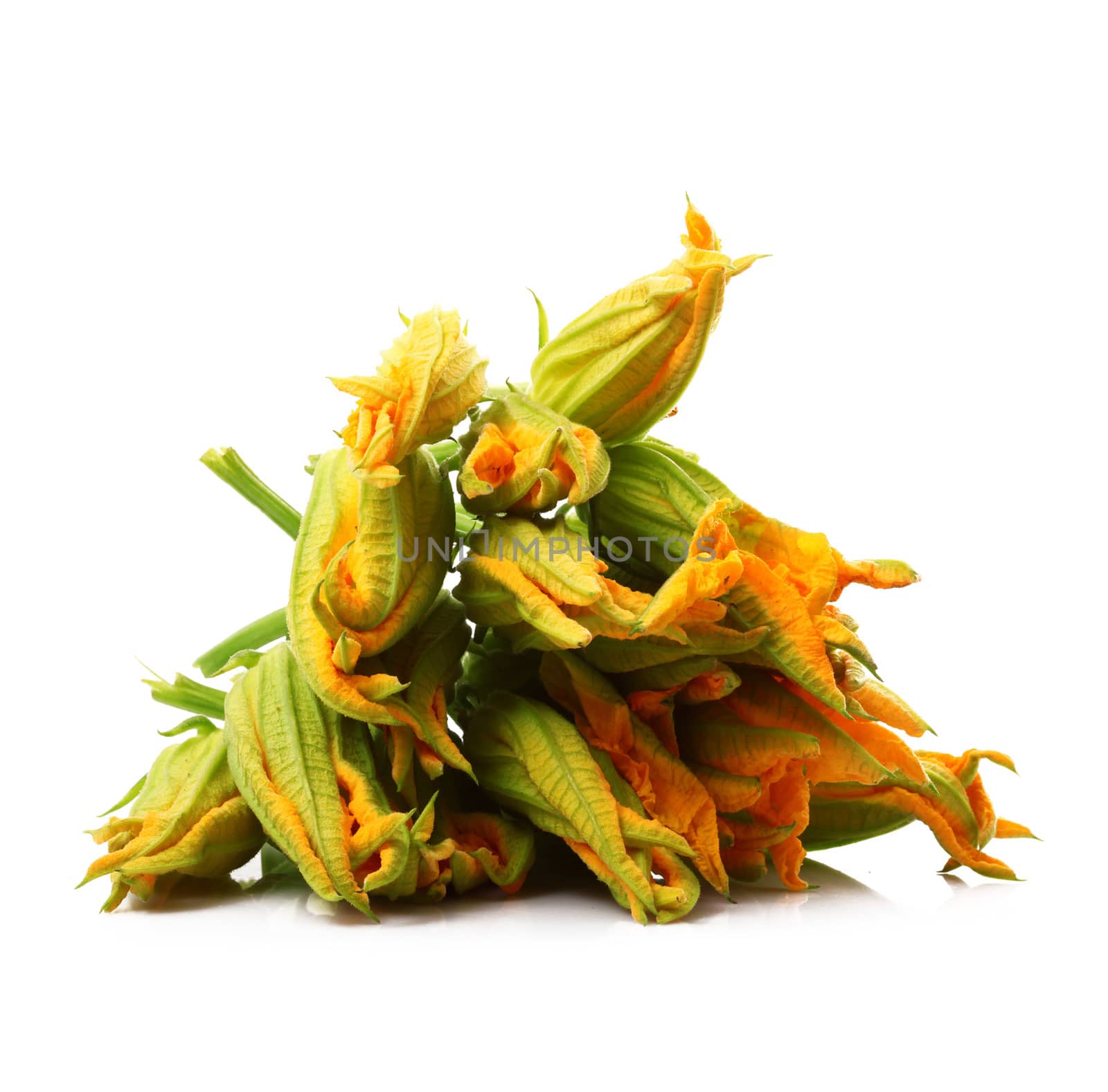 fresh pumpkin flowers on white background
