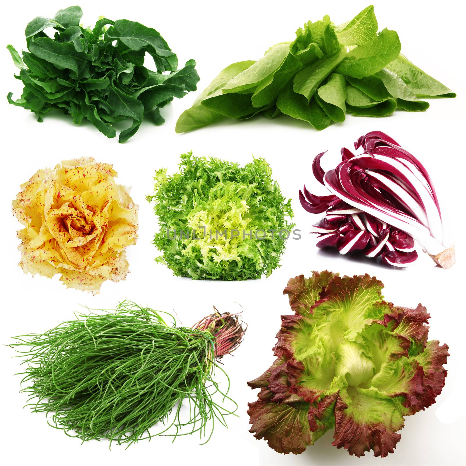 fresh salad collage on white background