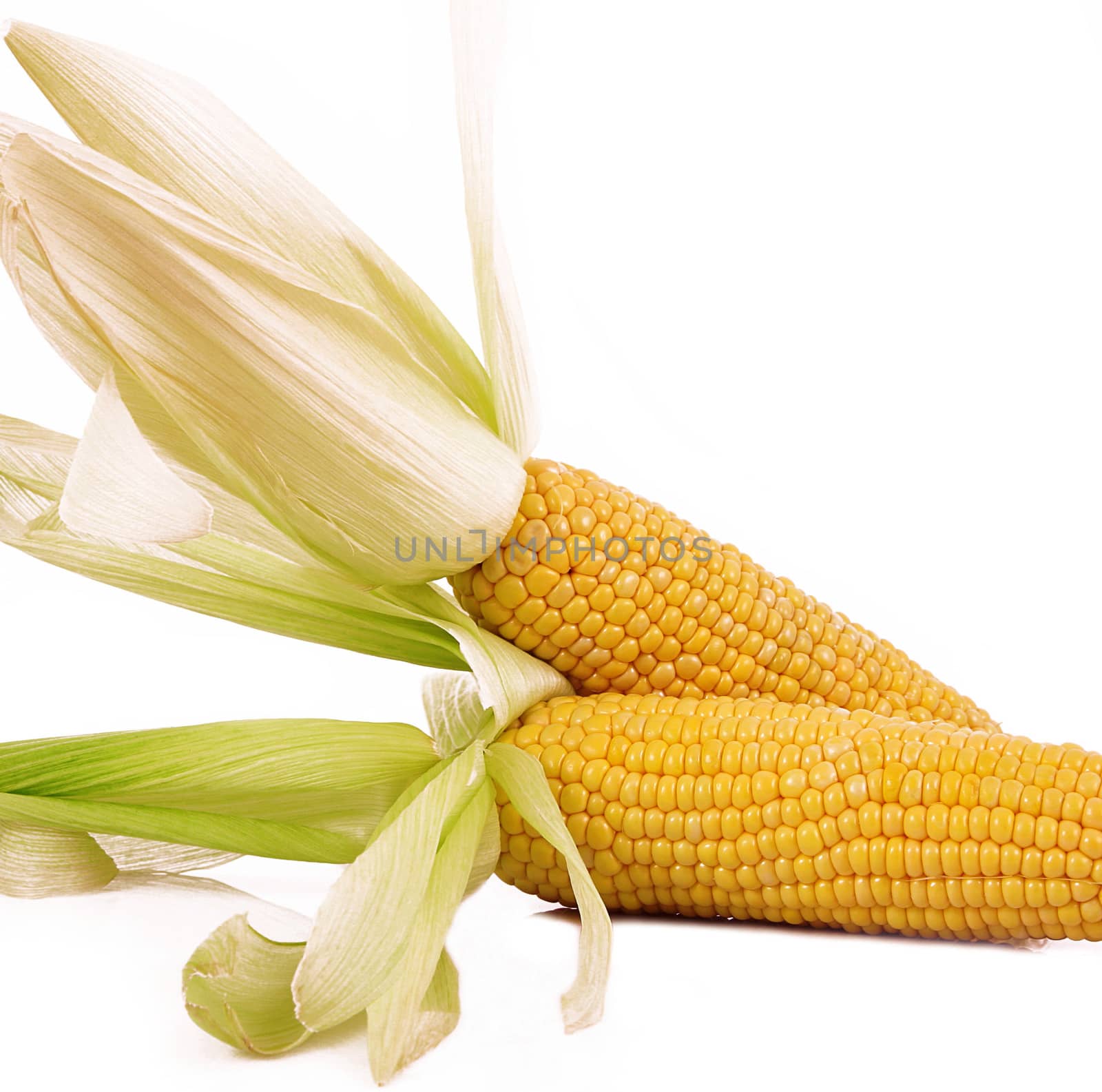a fresh mais on white background
