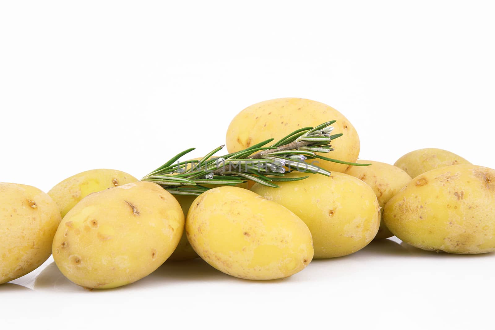 a fresh potatoes on white background