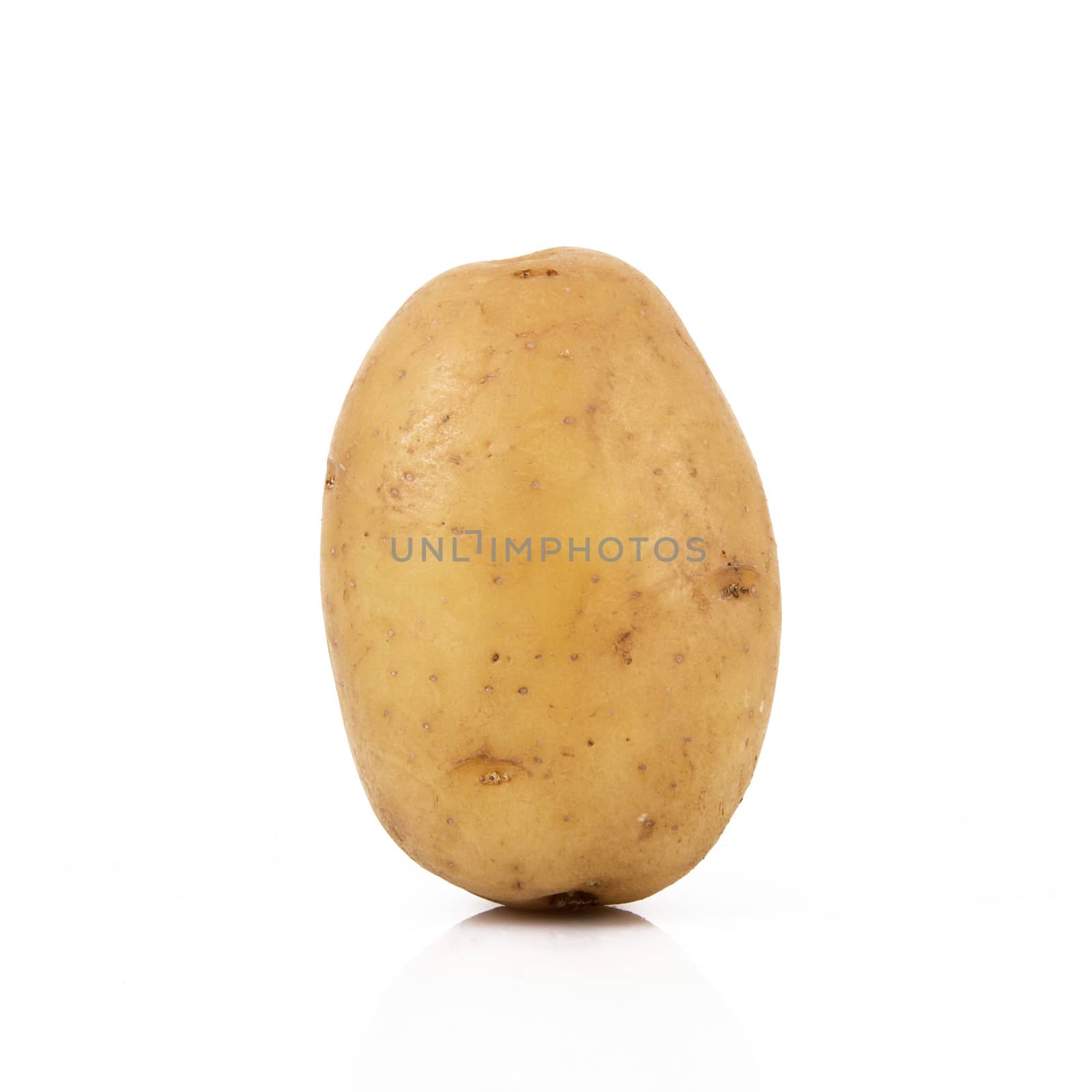 a fresh potato on white background