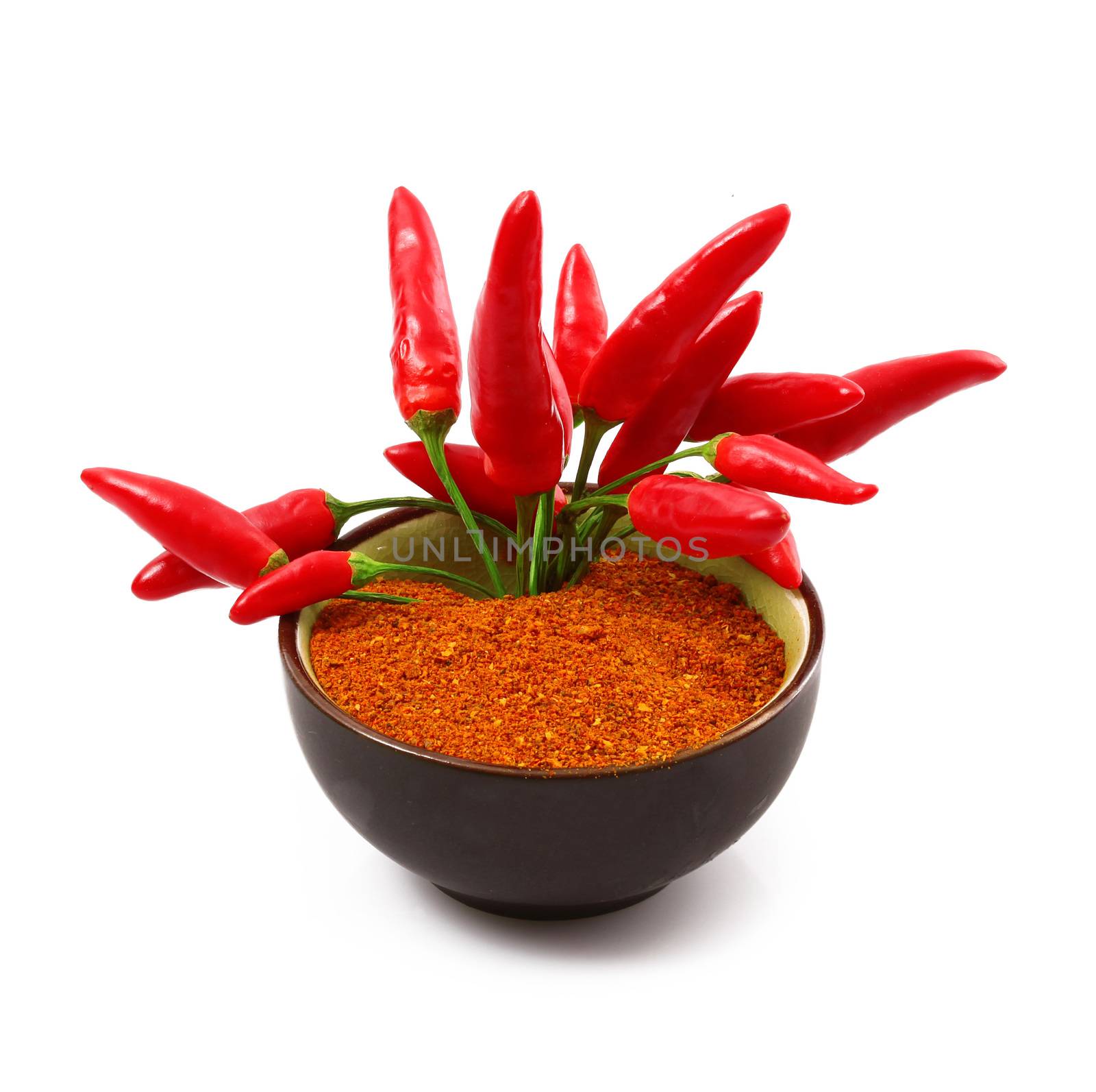 fresh hot peppers on white background