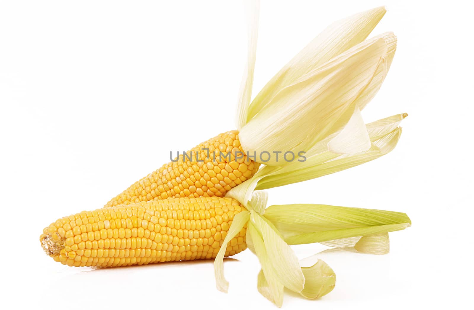 a fresh mais on white background