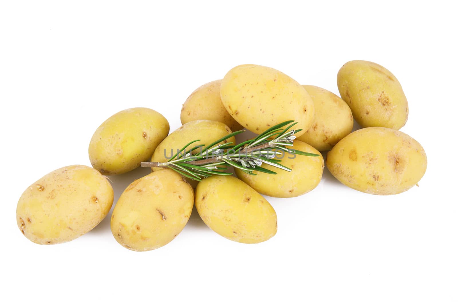 a fresh potatoes on white background