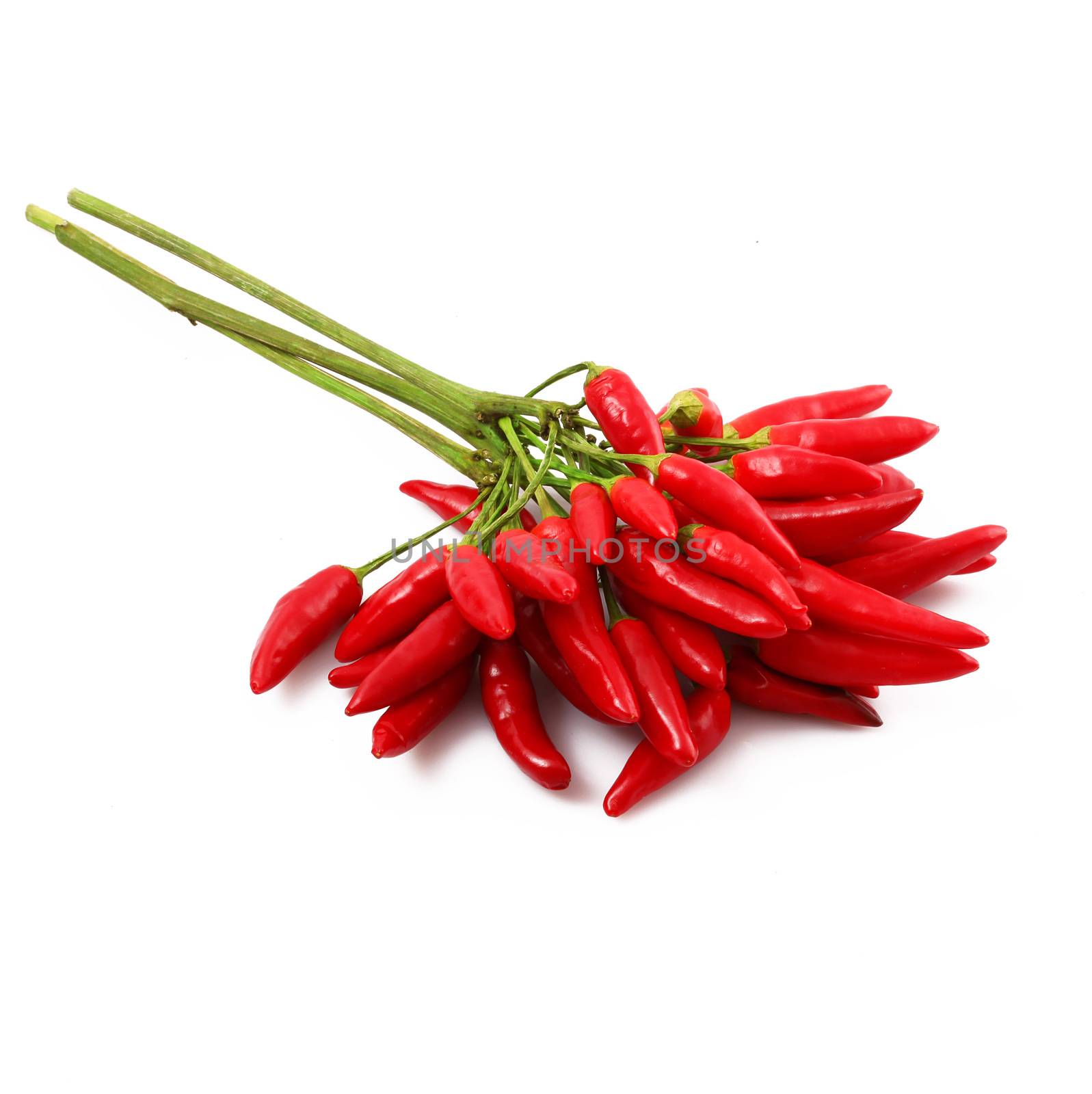 fresh hot peppers on white background
